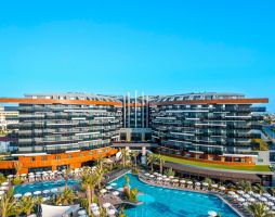 Calyptus Kirman Premium